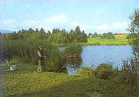 Einer unserer Seen und Moorweiher der Gegend